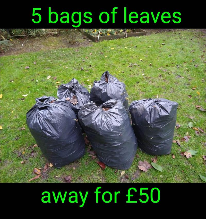 bags_leaves_junked_bearsden.jpeg